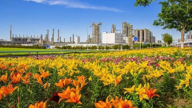 聚氨酯胶粘剂：广东地区关键参数解析**