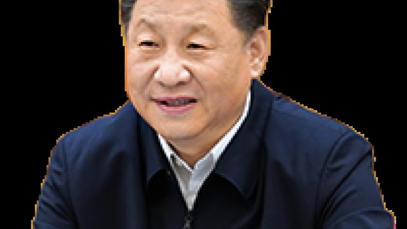 高分子材料环保标准：环保应用中的关键考量**